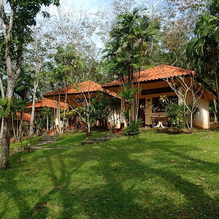 Koh Mook Rubber Tree Bungalows Exterior foto